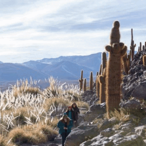 Trekking Purilactis