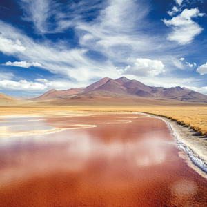 Tour en Atacama